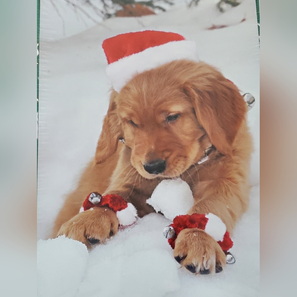 NEW! 30 Cards! Golden Retriever Santa Hat Christmas Cards, Baby & Goldens Cards